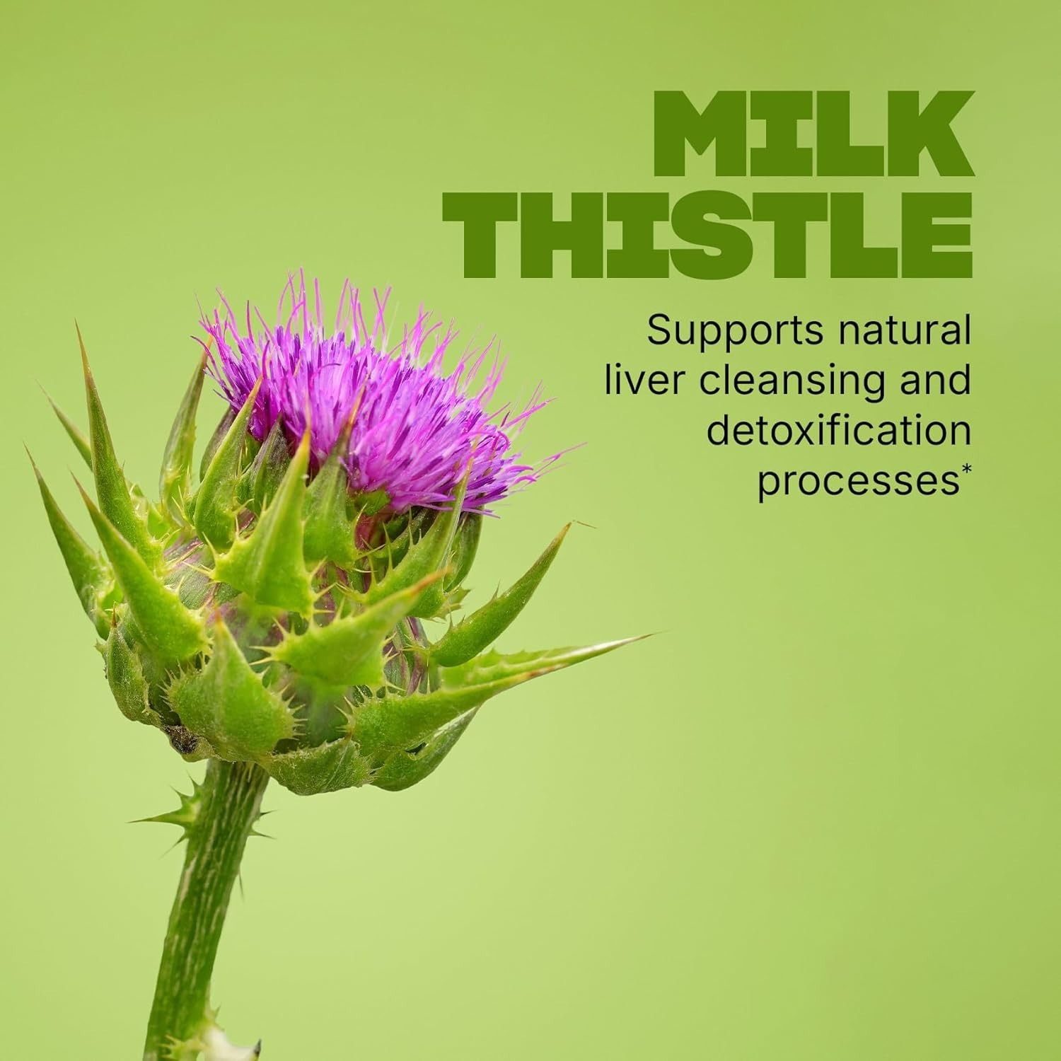 Swisse Milk Thistle Liver Detox – 180 count – 07/2028+
