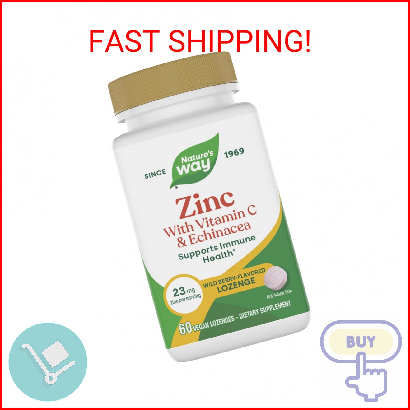 Nature’s Way Zinc Lozenges with Vitamin C & Echinacea, Wild Berry, 60 Lozenges