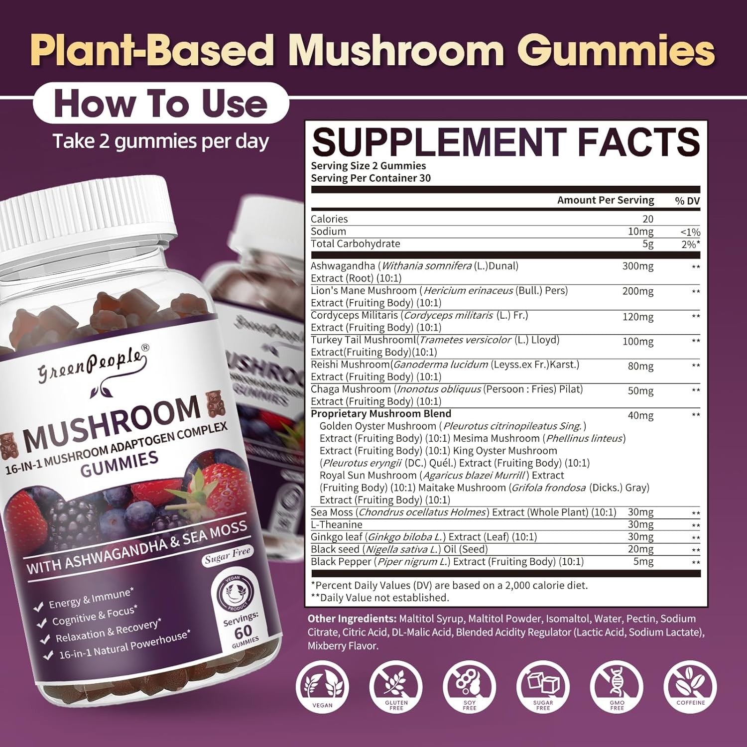 Mushroom Extract Complex Gummies Lions Mane Chaga 2-pack Focus Memory Immunity