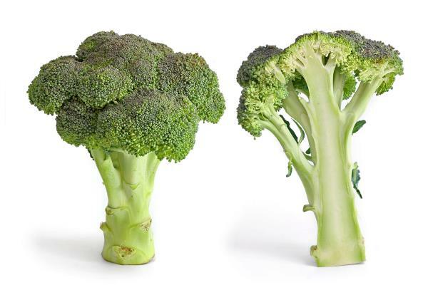 Broccoli Floret Freeze Dried | 2oz to 1lb | 100% Pure Natural Hand Crafted