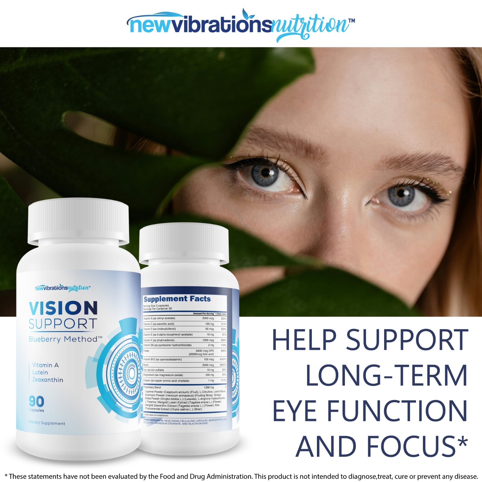 Vision Support Blueberry Method – Our Best Eye Vision Supplement – Lutein