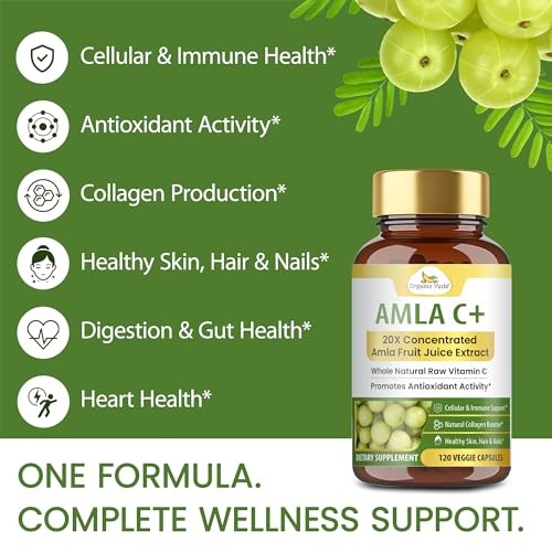 Amla Vitamin C Capsules 20X Concentrated Extract 120 Vegan