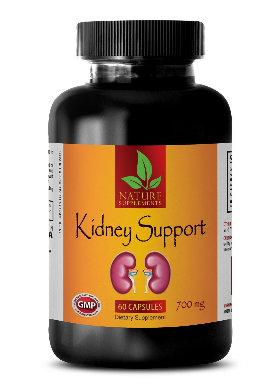 Uva Ursi Extract – KIDNEY SUPPORT 700mg – Immune System Support 1B