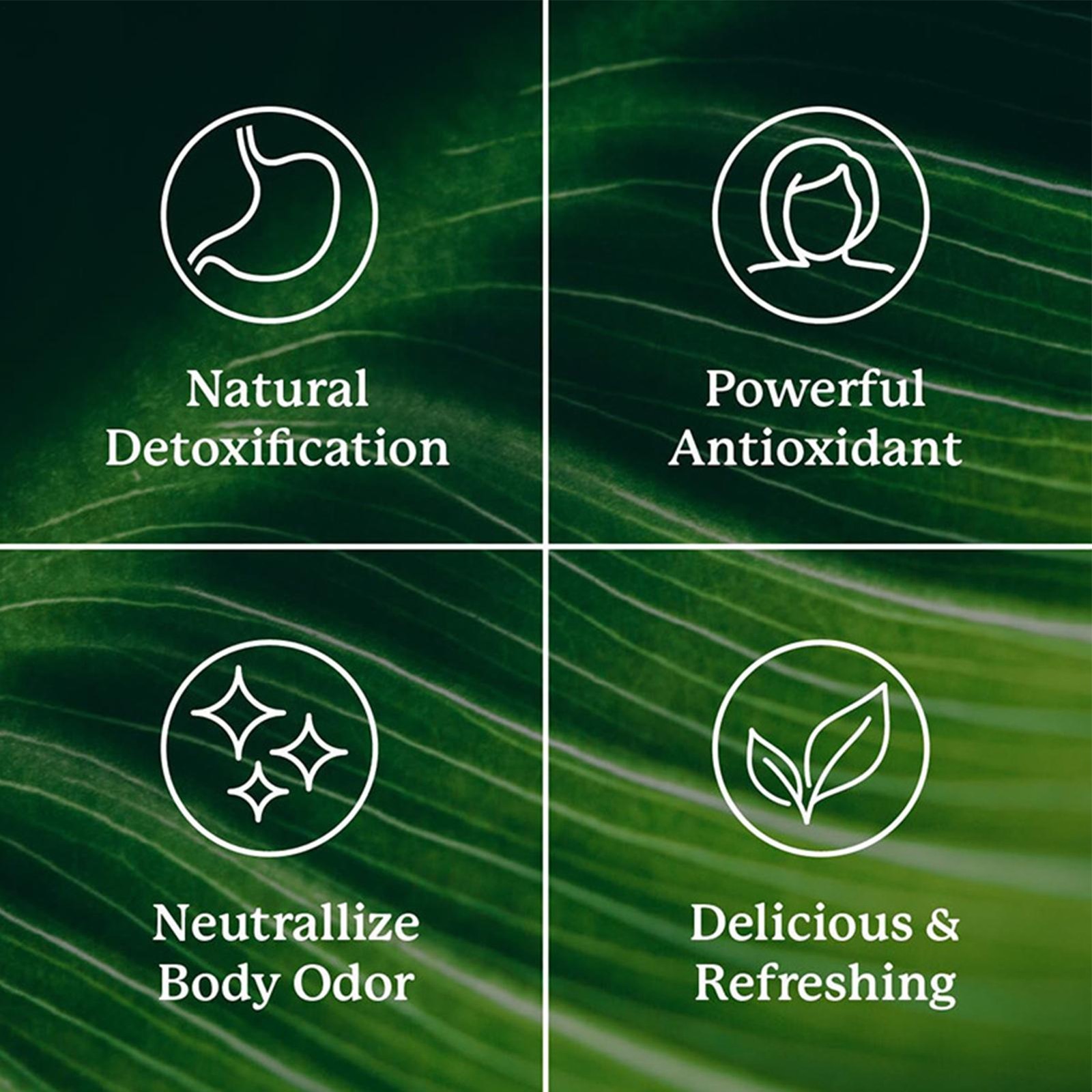 Chlorophyll Stick Packs: Supercharge Your Detox and Boost Gut Health 30pcs Stick