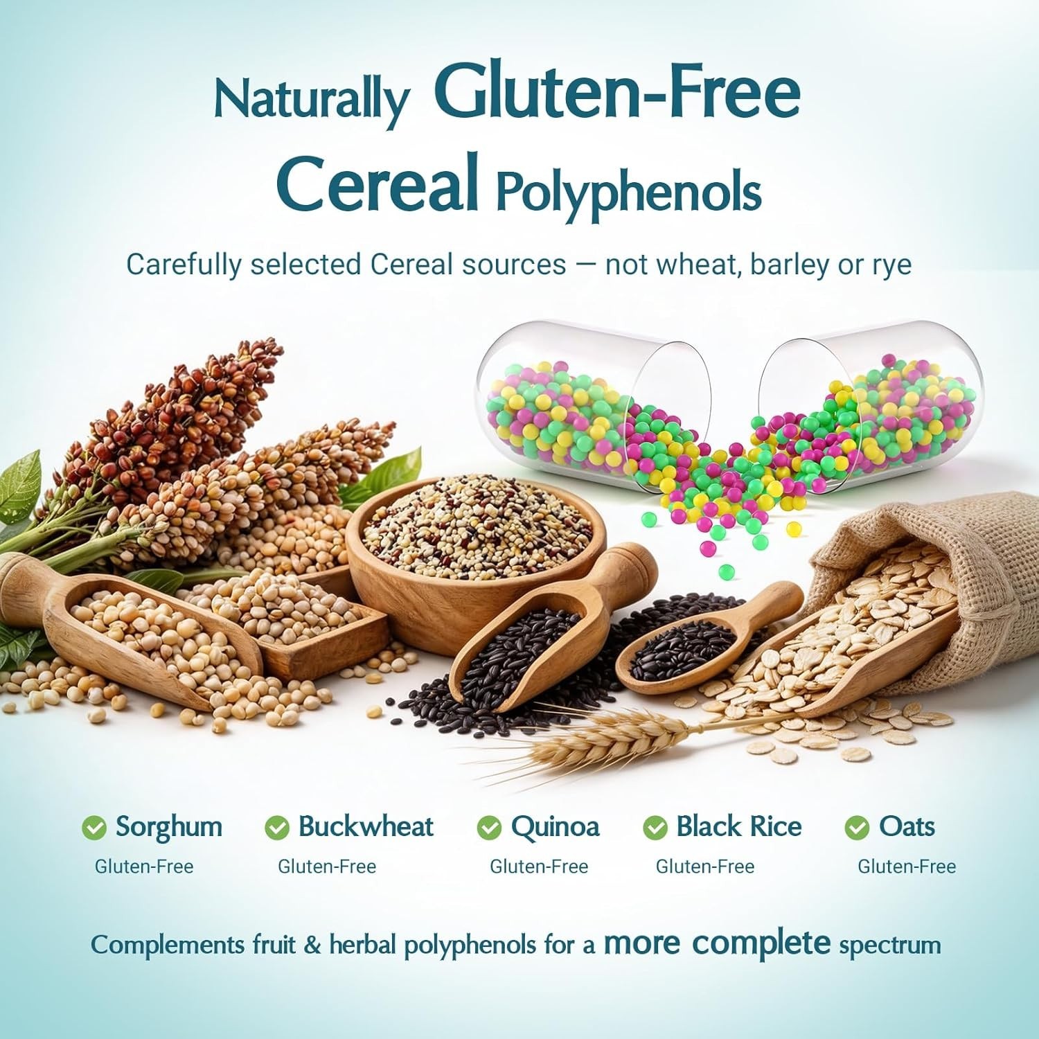 Polyphenols Supplement 1500mg – Over 20 Fruit, Herbal & Cereal Full Spectrum