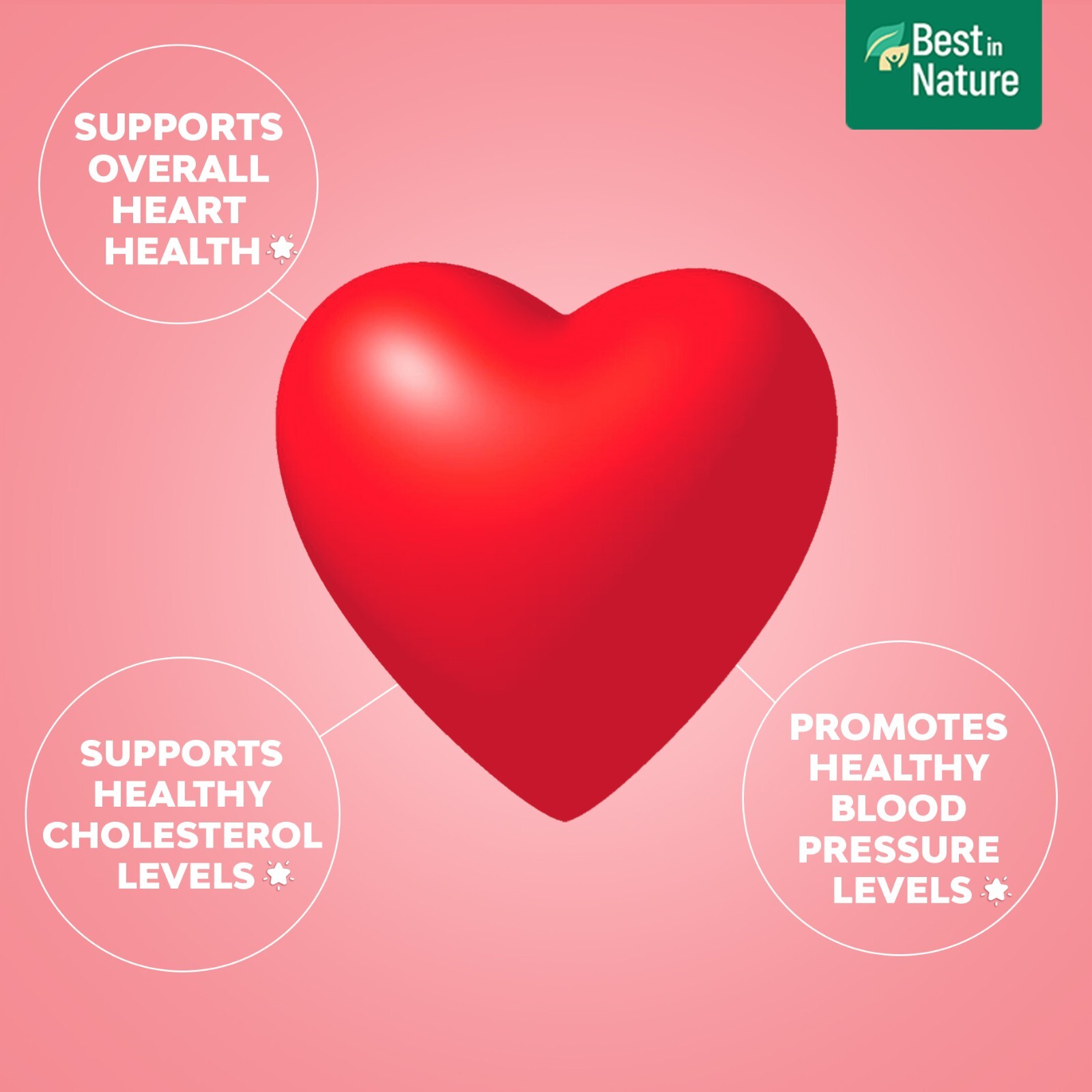 Best in Nature VigorHeart™ – The Natural Heart Supplements 90 capsules
