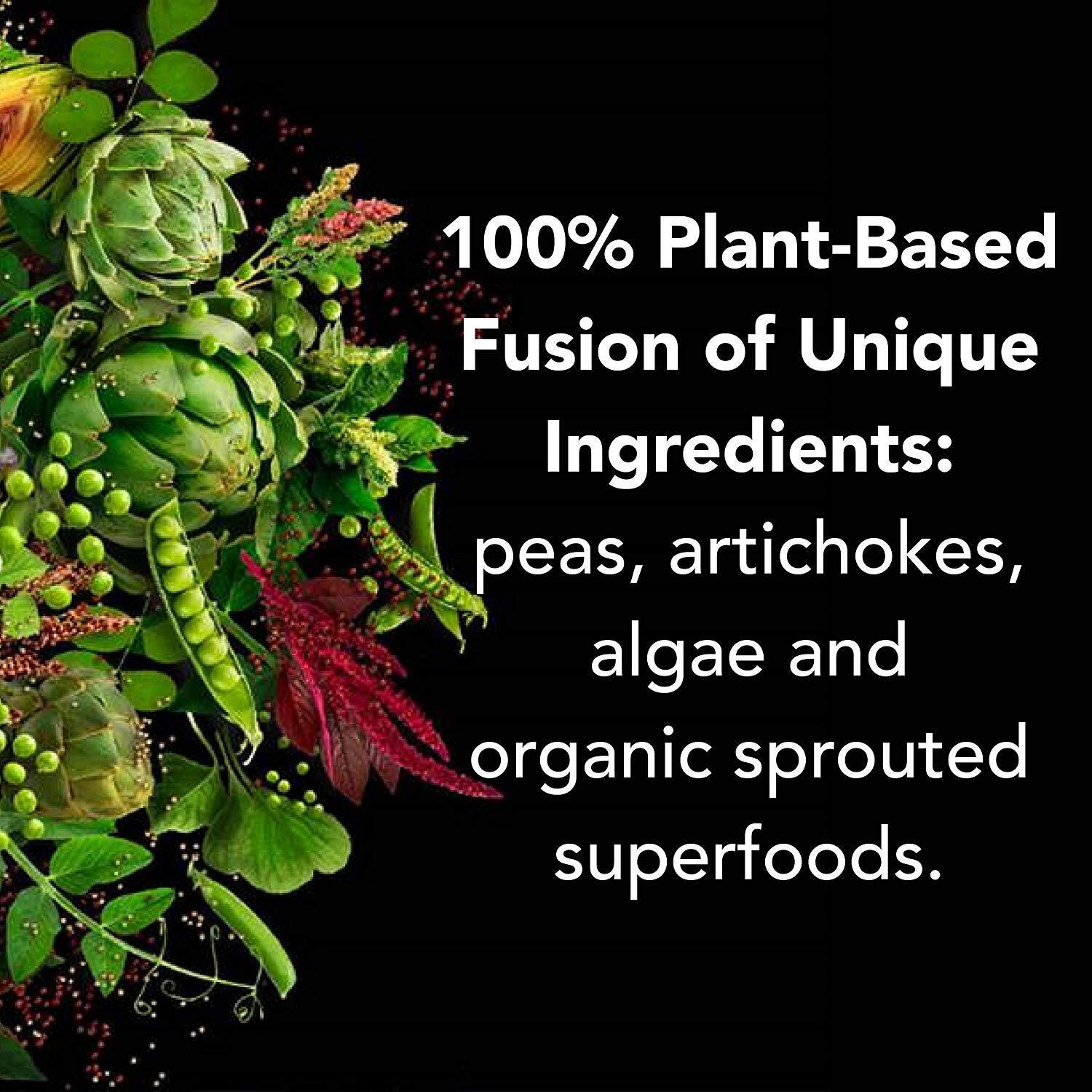 PlantFusion Rich Chocolate Plant Protein Powder 30 Servings Vegan Gluten Free