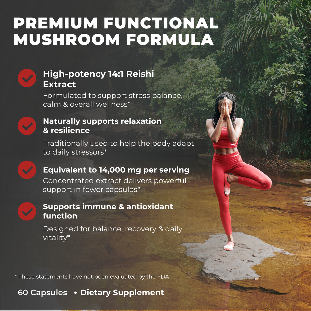 Reishi Mushroom Supplement 14,000mg – Ayurveda Nootropic Red Reishi Supplement