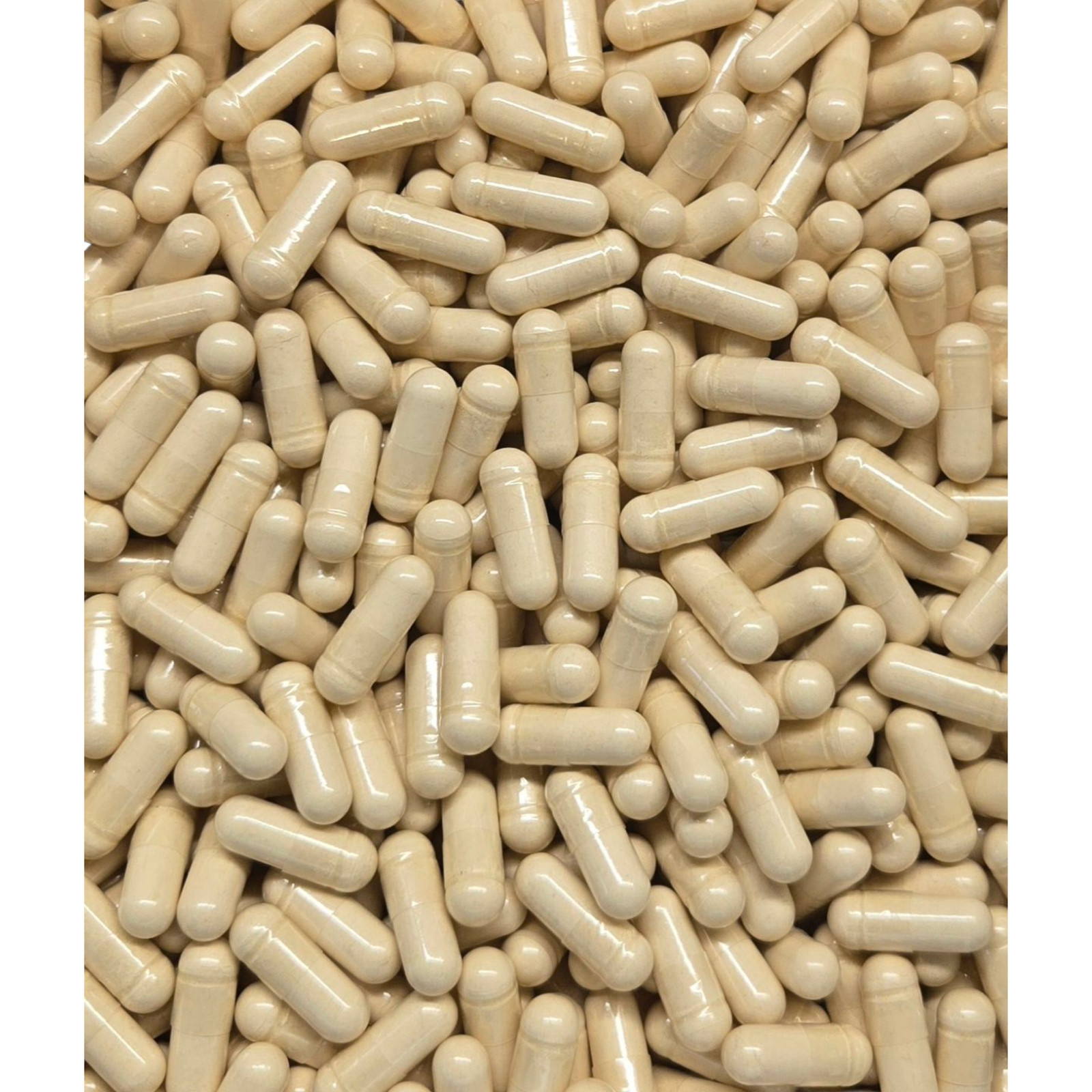 Red Maca Root Capsules – Organic – Bulk