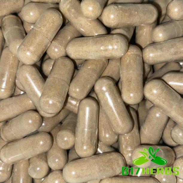 Gelatinized Maca Root – Health, Wellness, Energy, Memory – 600mg 100 Veg. Caps
