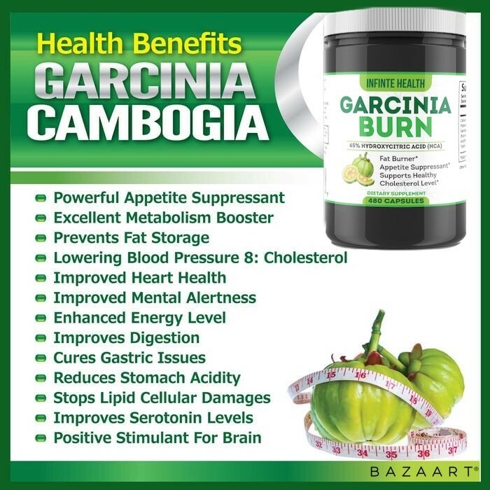 Garcinia Burn 480 ct 4 Month Supply Garcinia Cambogia 1500mg Citrimax HCA Diet