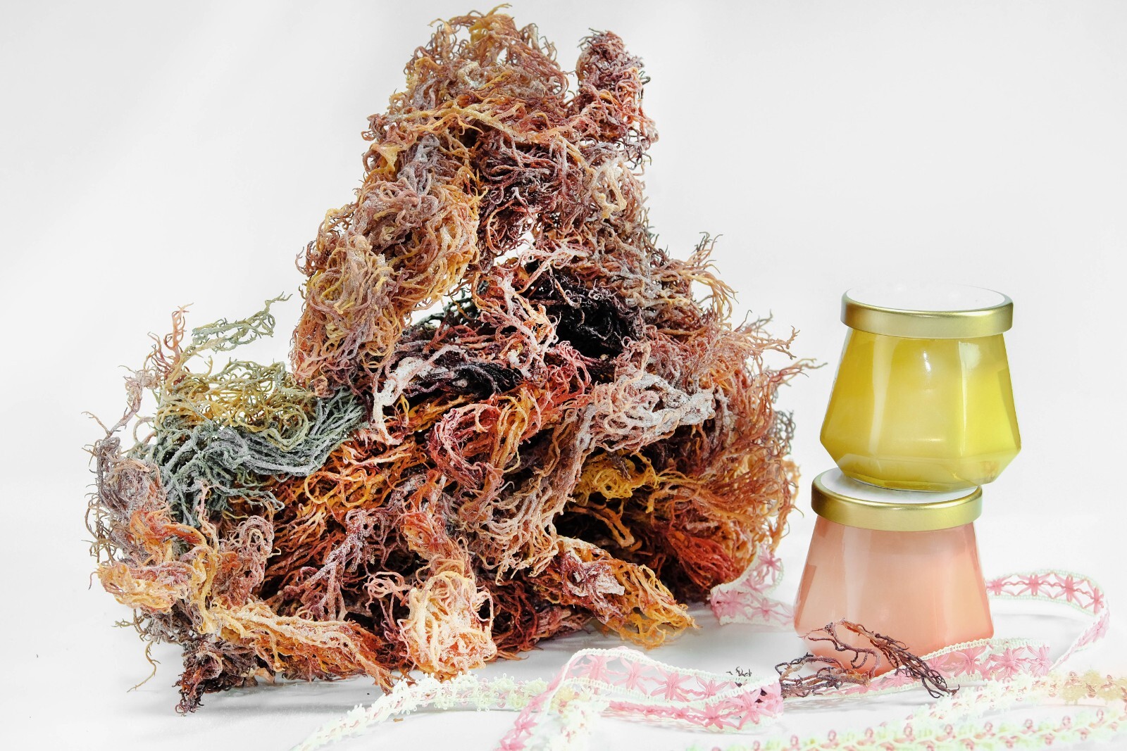 Rainbow Irish Sea Moss #Dr. Sebi Inspired St Lucia Wildcrafted Multi Colored !