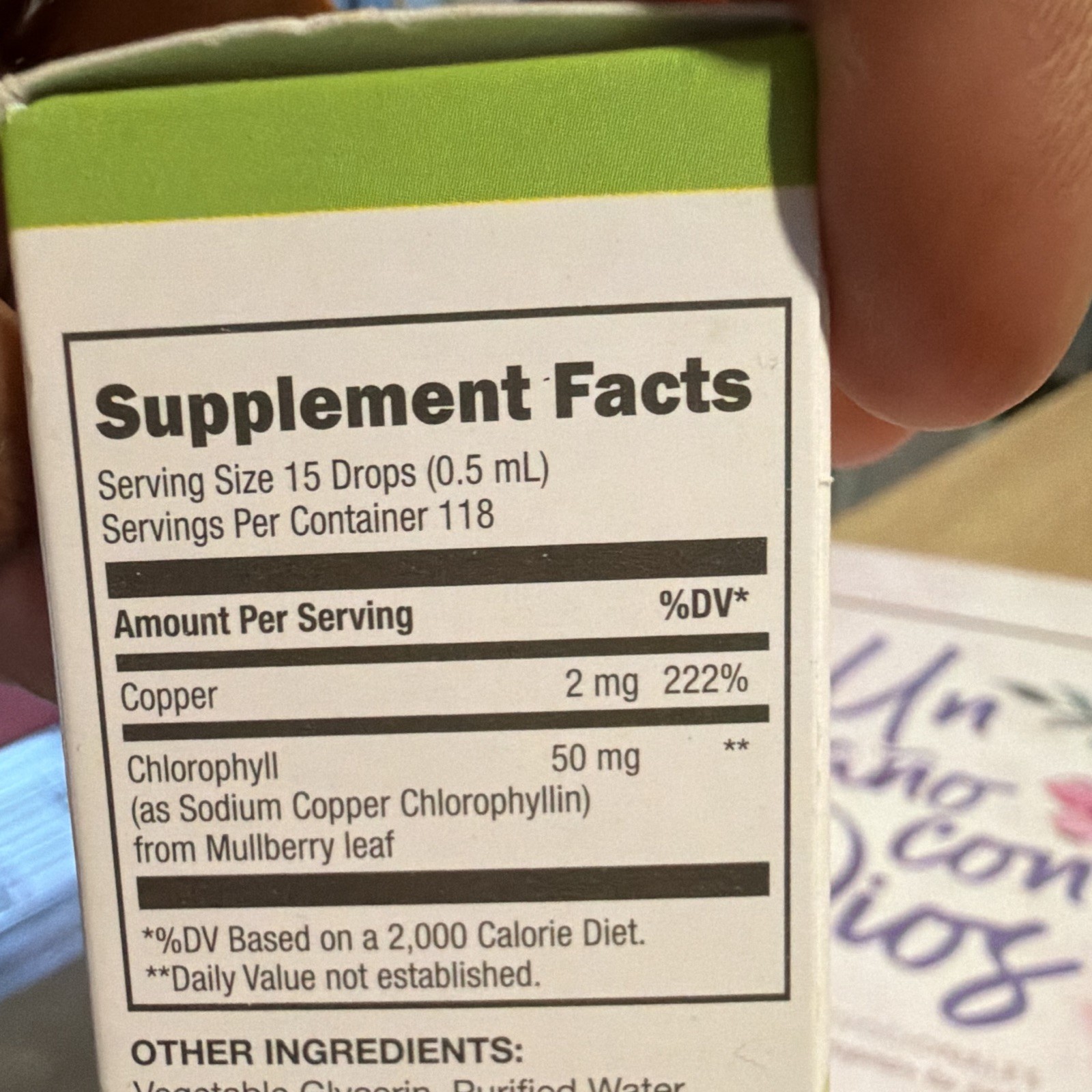 Benevolent Nourishment Liquid Chlorophyll Mint Alcohol Free 2 fl oz Exp 09/2027