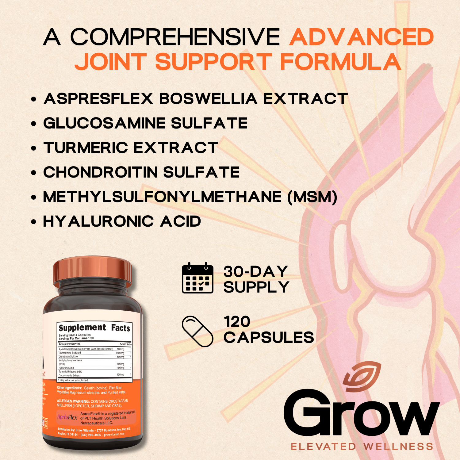 Grow FlexVita – Glucosamine Chondroitin MSM Turmeric Boswellia 120 Capsules