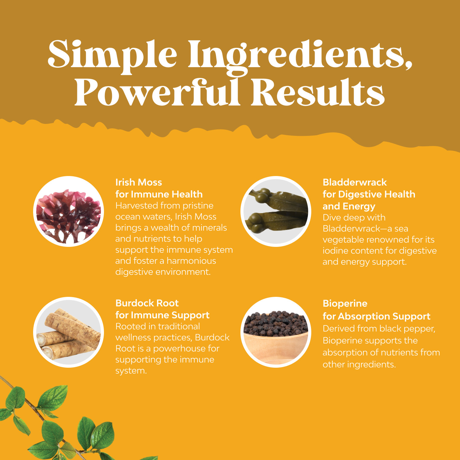 Organic Irish Sea Moss Capsules – with Bladderwrack and Burdock Root 30ct