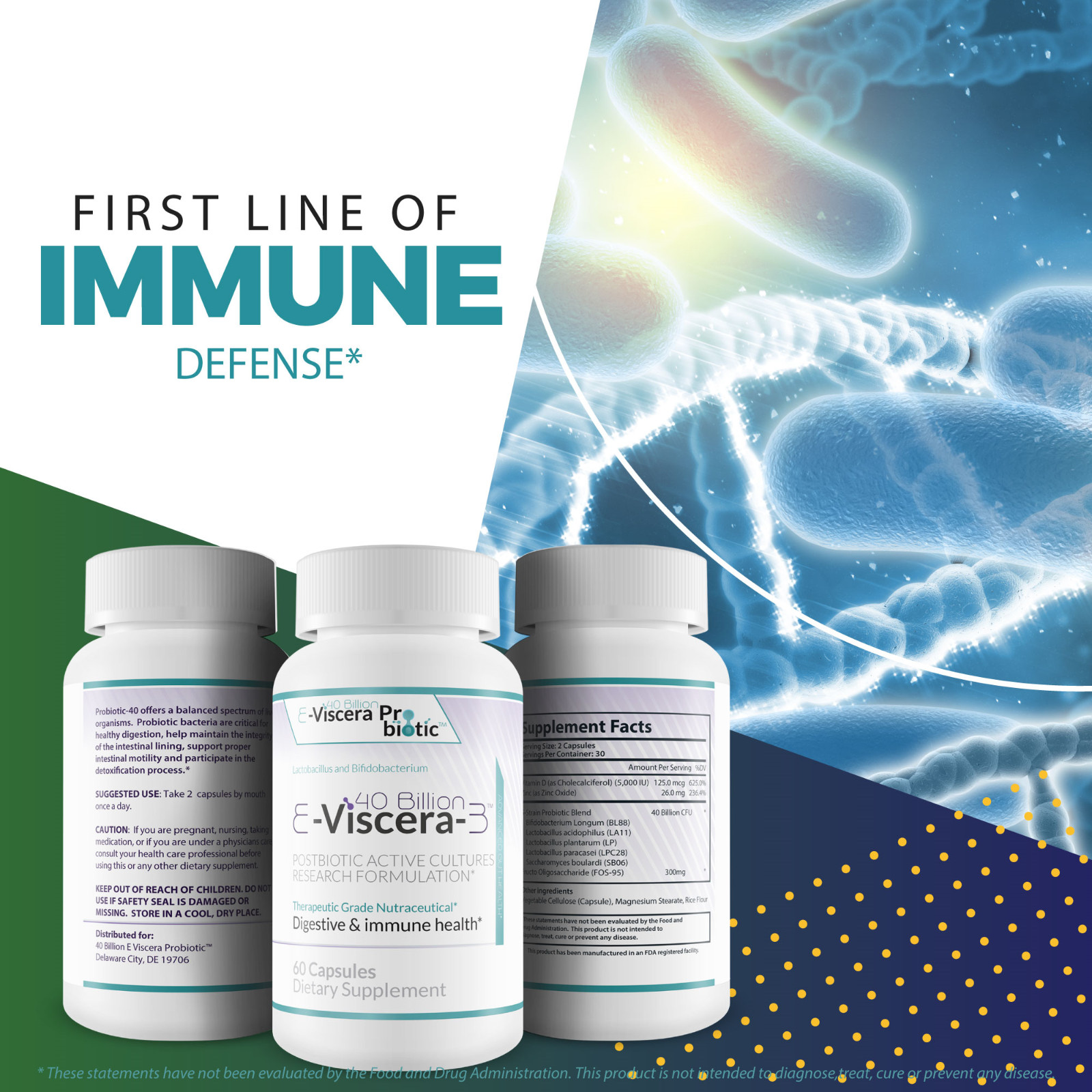40 Billion E-Viscera-3 Probiotic Supplement – Digestive and Immune Health