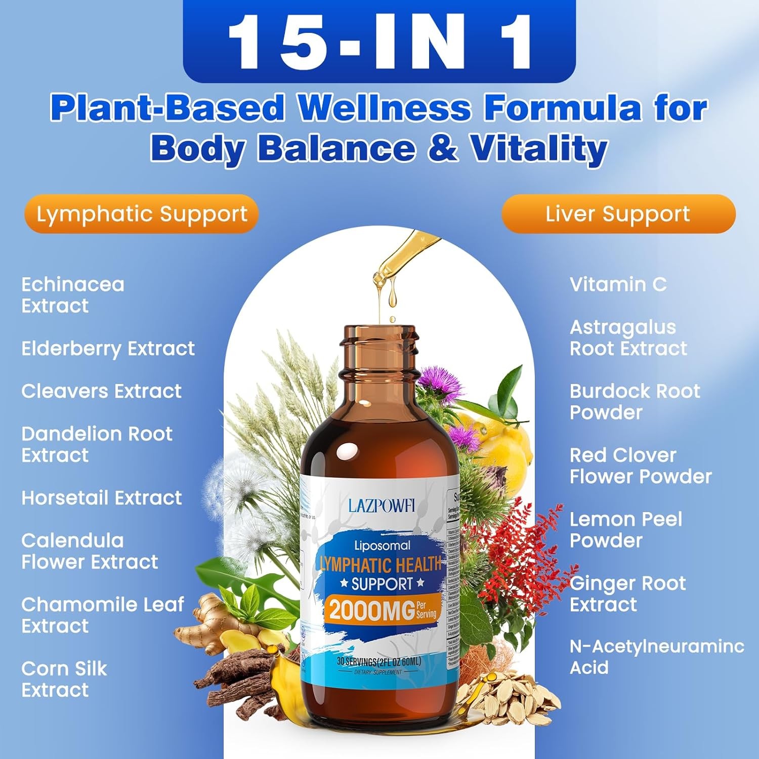 Lymphatic Drainage Drops Liposomal Supplements Echinacea 500mg Drops 2 fl oz