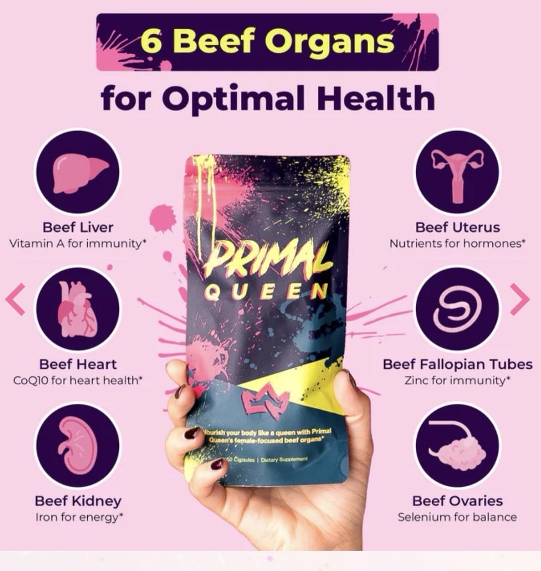 IN STOCK Primal Queen Capsules Women’s Health 60ct Grass Fed No Hormones