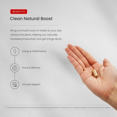NutraChamps Korean Red Panax Ginseng Capsules | Extra Strength Ginsenosides for