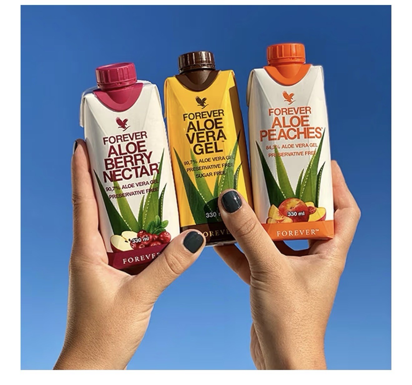 Forever Aloe Vera Sugar-Free Gel Drink No Added Preservatives 330ml 6 Pack
