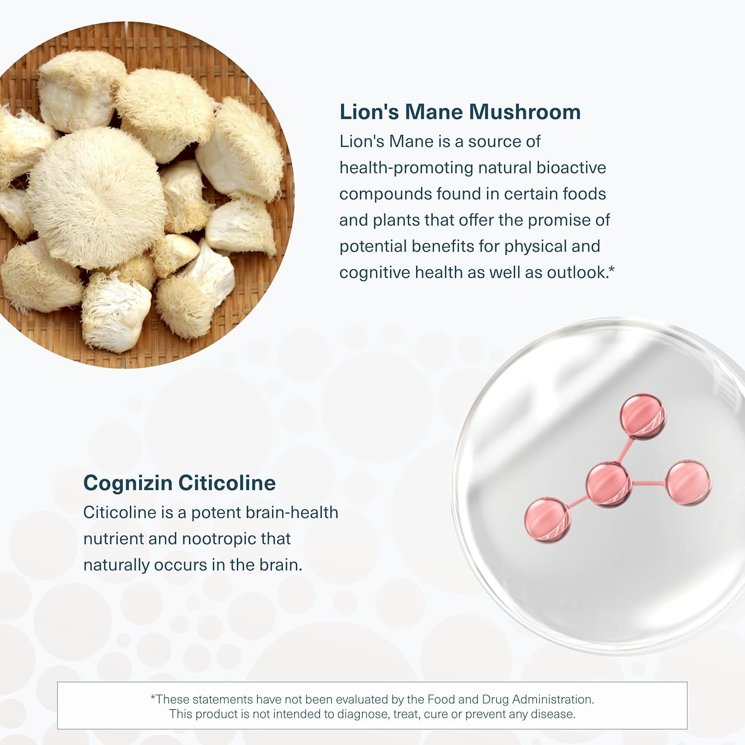 Youtheory Lion’S Mane plus – Mushroom Supplement with Cognizin – Offers Focus &