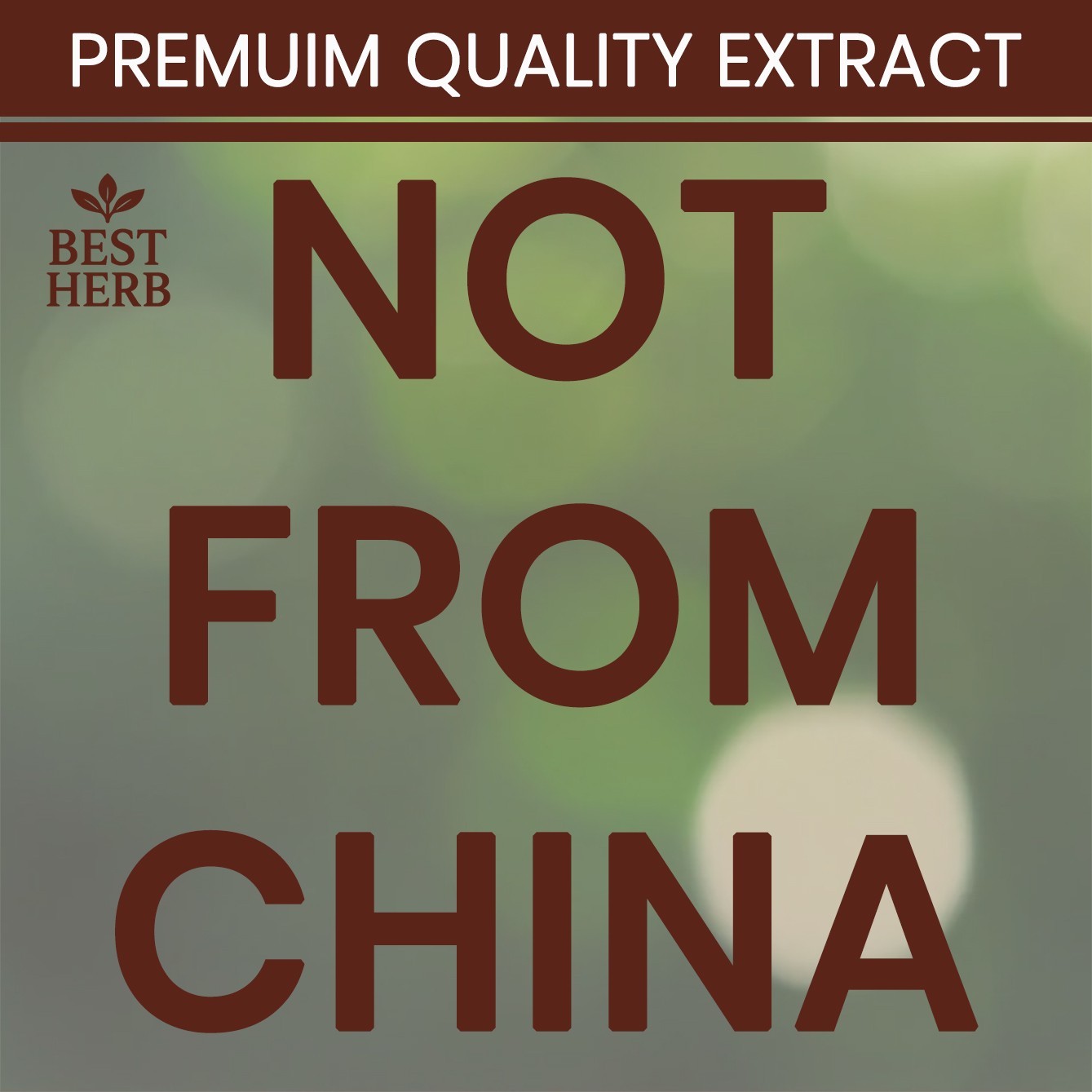 Pure Reishi Mushroom Natural Supplement Organic Pills Immune Health Max Support