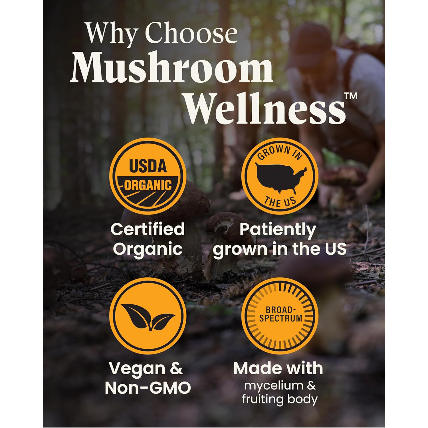 Herb Pharm,Mushroom Wellness Organic Red Reishi Mushroom,90 Veg Caps