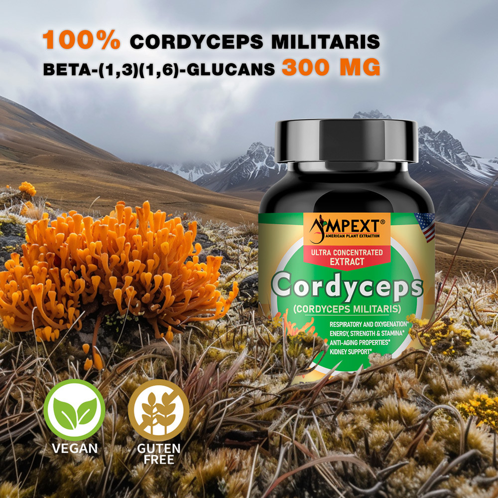 Cordyceps Extract – Only Fruiting Bodies, Over 30% Beta-Glucans, 90 caps