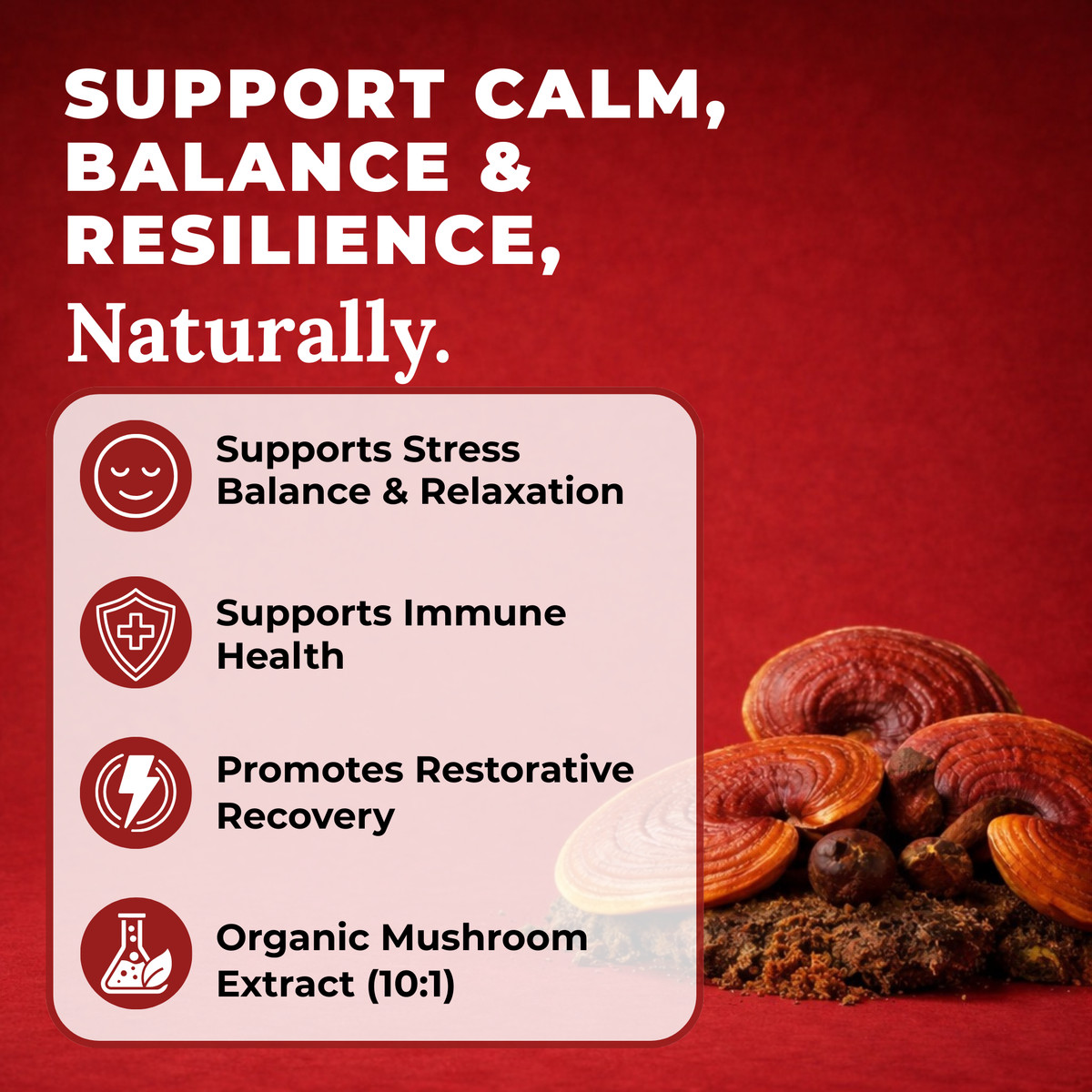 Reishi Mushroom Supplement 14,000mg – Ayurveda Nootropic Red Reishi Supplement