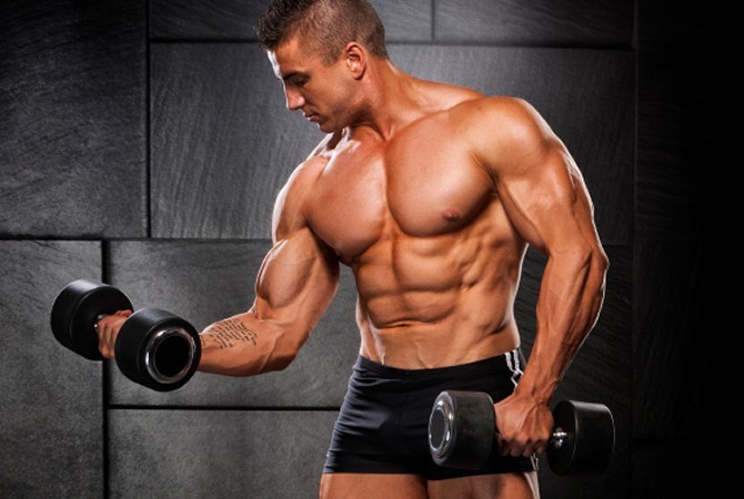 L-carnitine liquid NITRIC OXIDE MUSCLE PUMP 2400 Helps memory and behavior 2