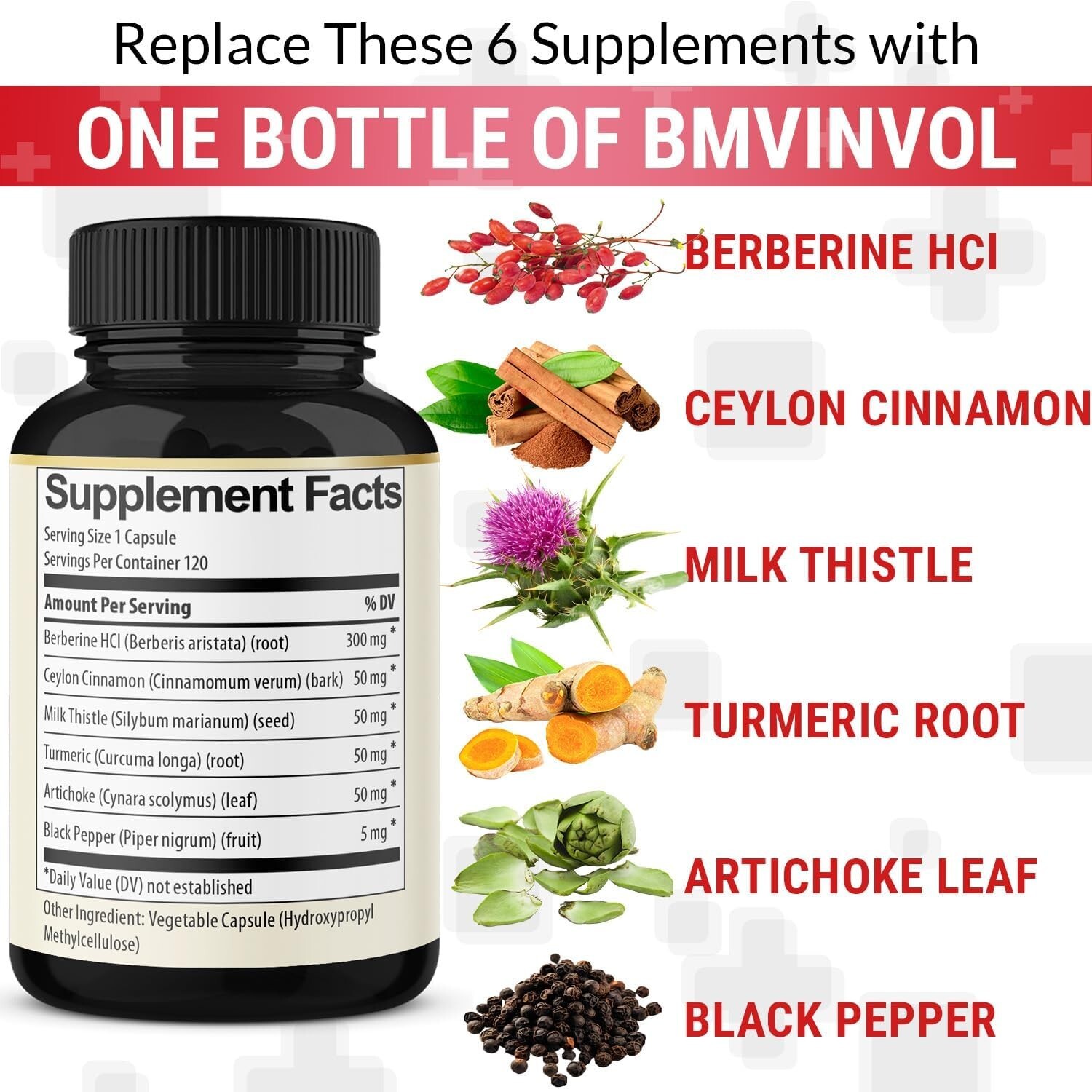 Berberine with Ceylon Cinnamon Tumeric Root, Milk Thistle, 6in1 (120 Capsules)