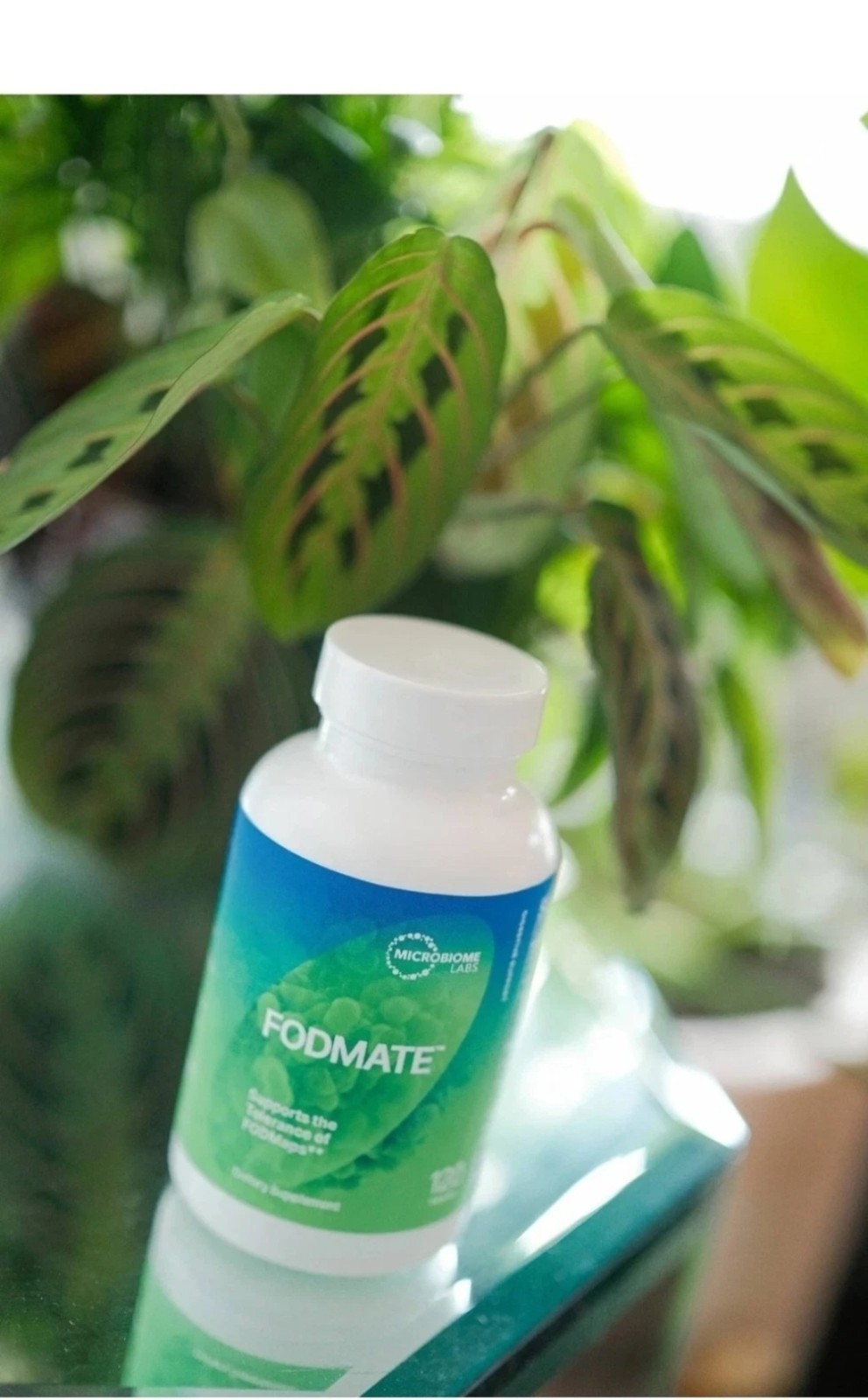 Microbiome Labs FODMate 120 Caps Supports Digestive Comfort and Relief #410
