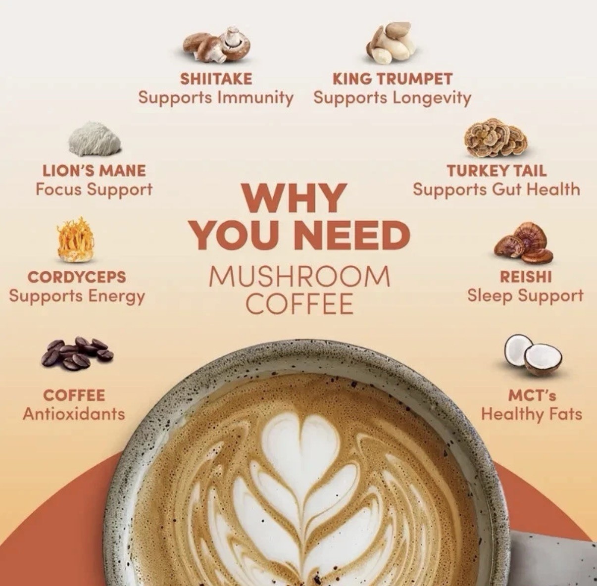 RYZE Mushroom Coffee USDA Organic with 6 AdaptogeniMushrooms and MCT Oil, USA Gr
