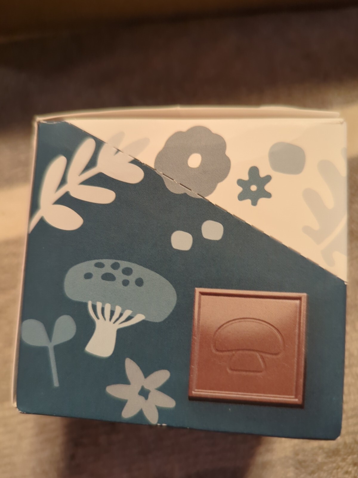 DEFEND RELISHI MUSHROOM CHOCOLATE