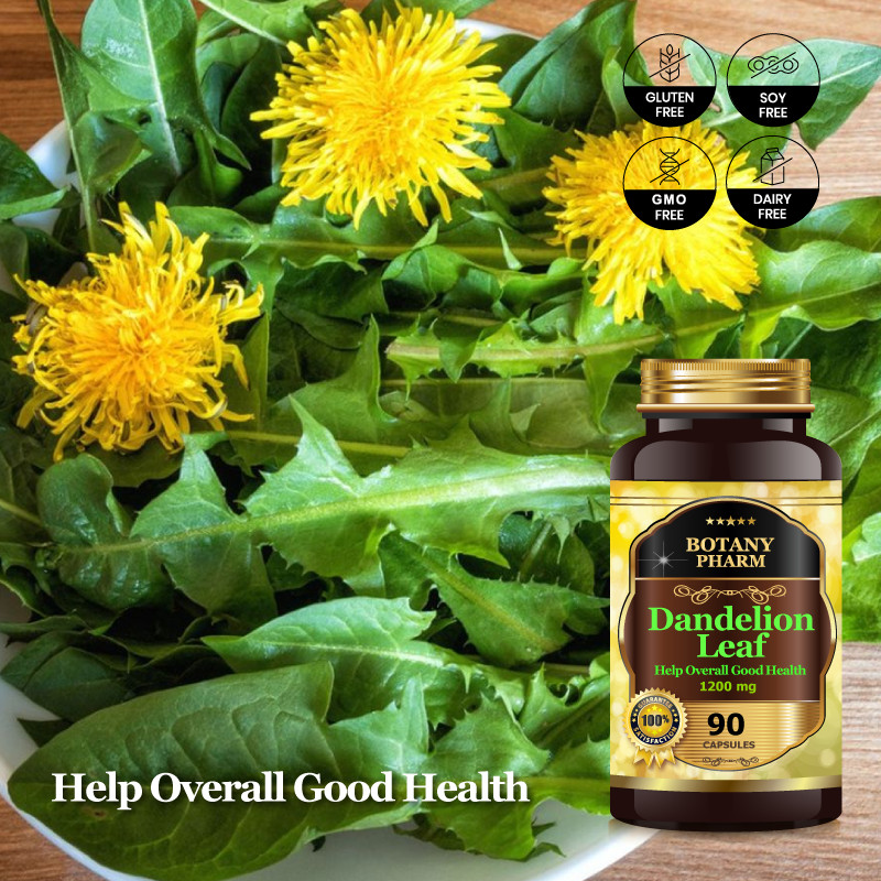 Dandelion Leaf, Cholesterol Antioxidant, Liver, Kidney Detoxification, 36,000mg