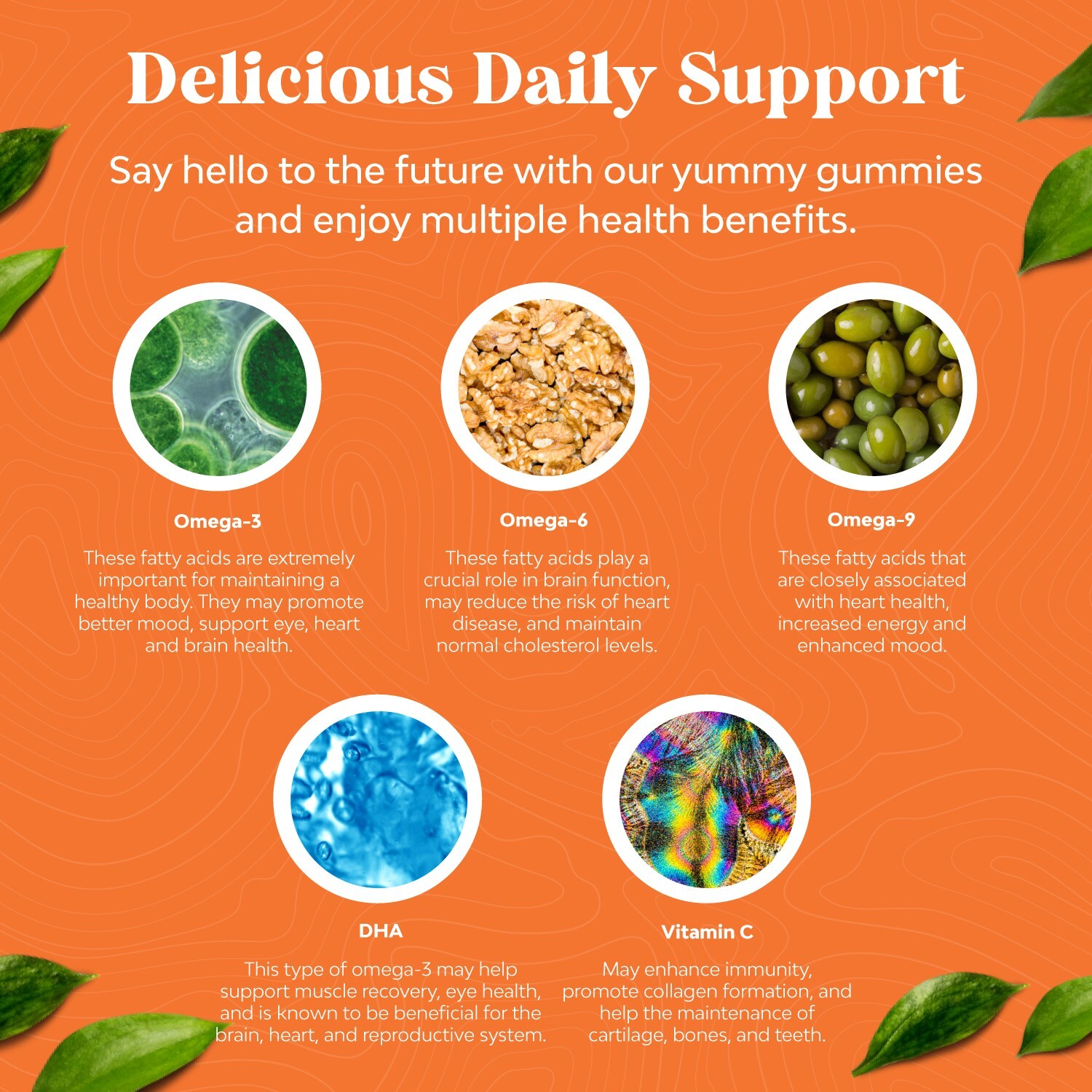Vegetarian Omega 3 Gummies for Adults – Vegetarian Omega 3 6 9 DHA Gummies