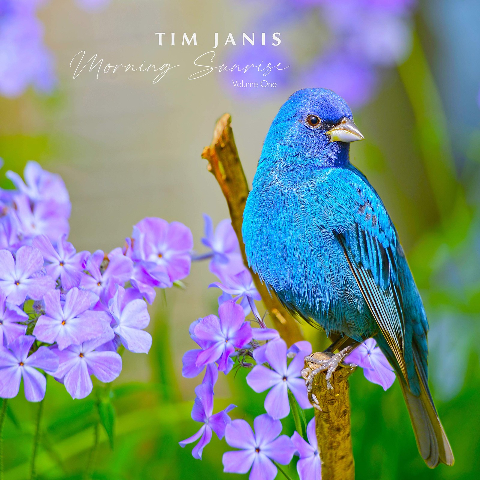 Tim Janis Morning Sunrise Volume One – Relaxing Music CD, Traditional…