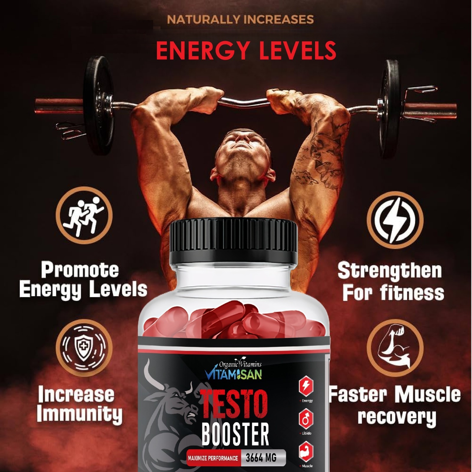 Vitamisan Testo Booster Duo | Herbal Male Support for Stamina & Power | 120 Caps