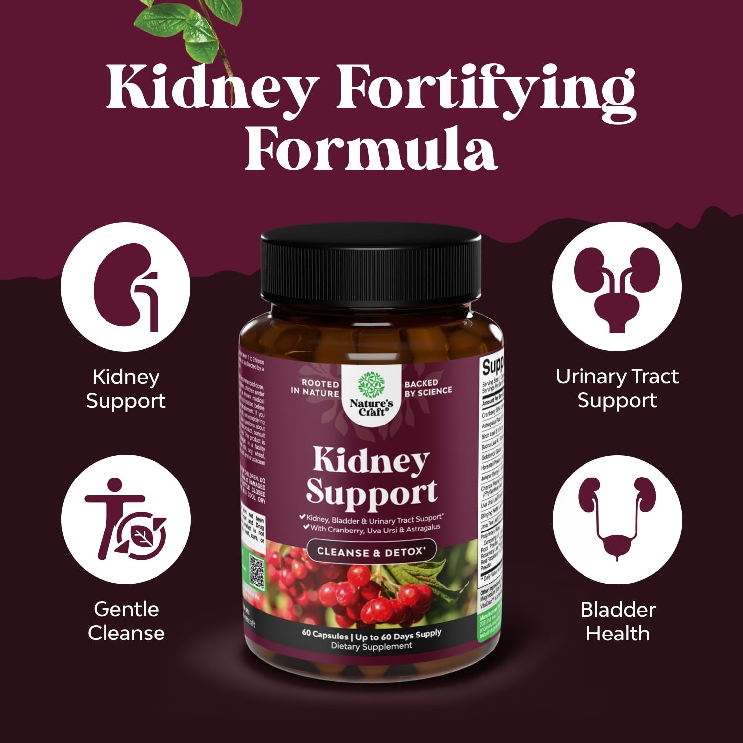 Kidney Support Cranberry Pills for Women and Men – High Strength 60ct