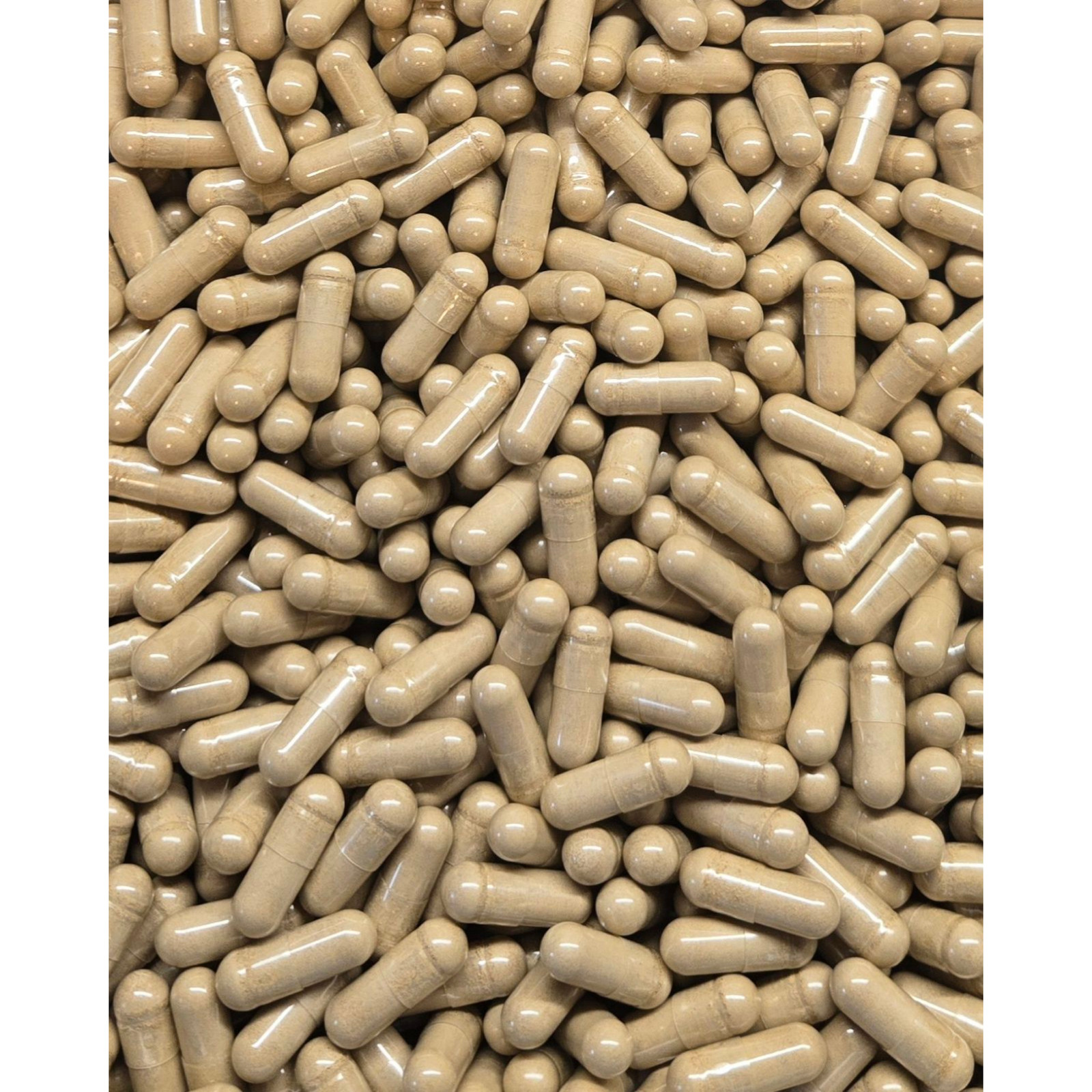 Burdock Capsules – Bulk