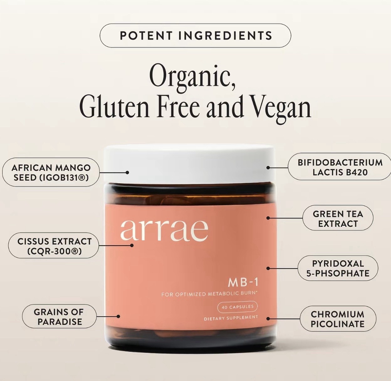 arrae MB-1 Capsules + L-Glutamine Powder Metabolic & Gut Support 1.76 oz