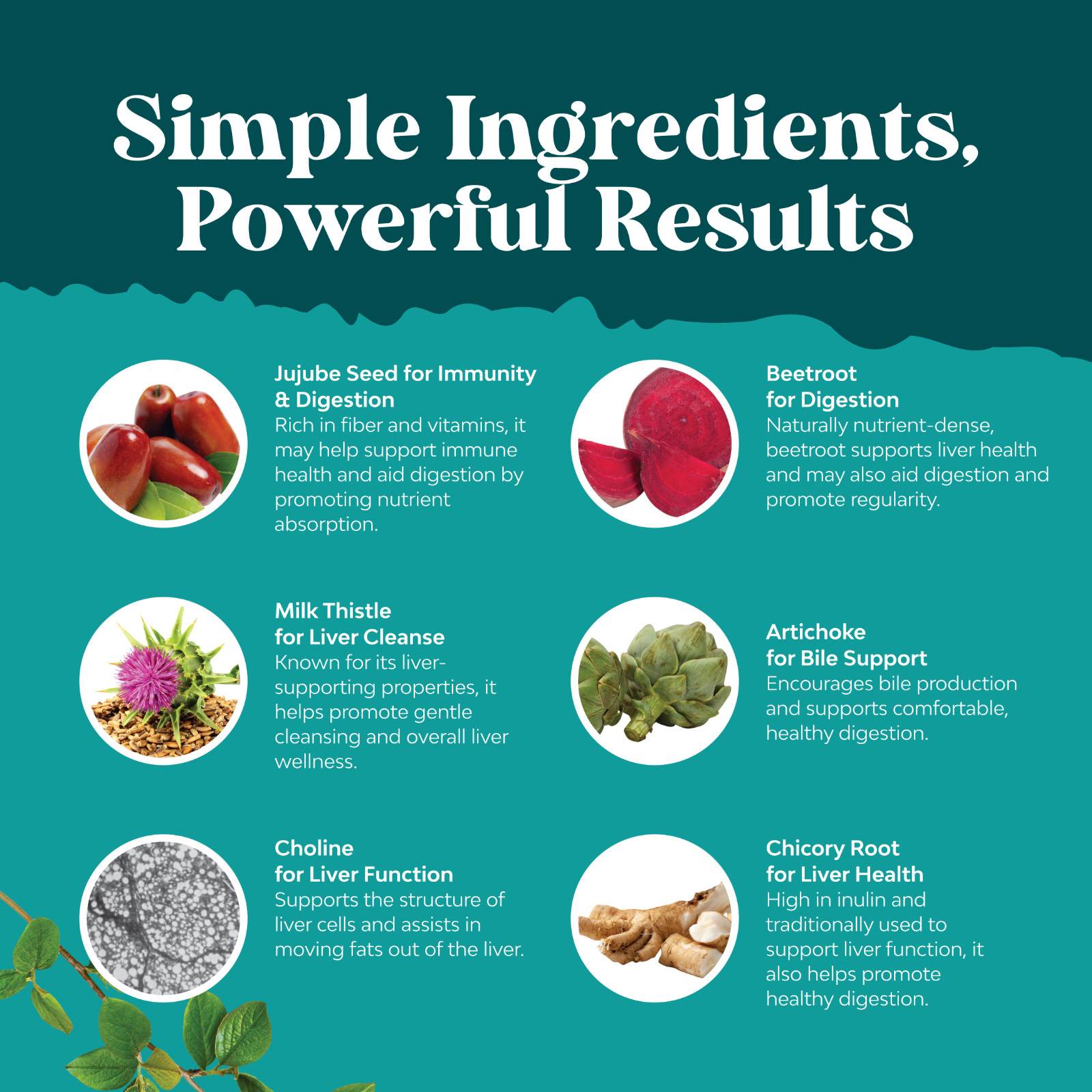 Liver Cleanse Detox & Repair Formula – Herbal Liver Support Supplement