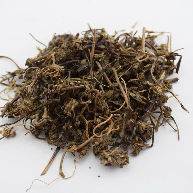 Turkesterone Powder Extract 10:1 from Ajuga Turkestanica – 2% Turkesterone, 100g