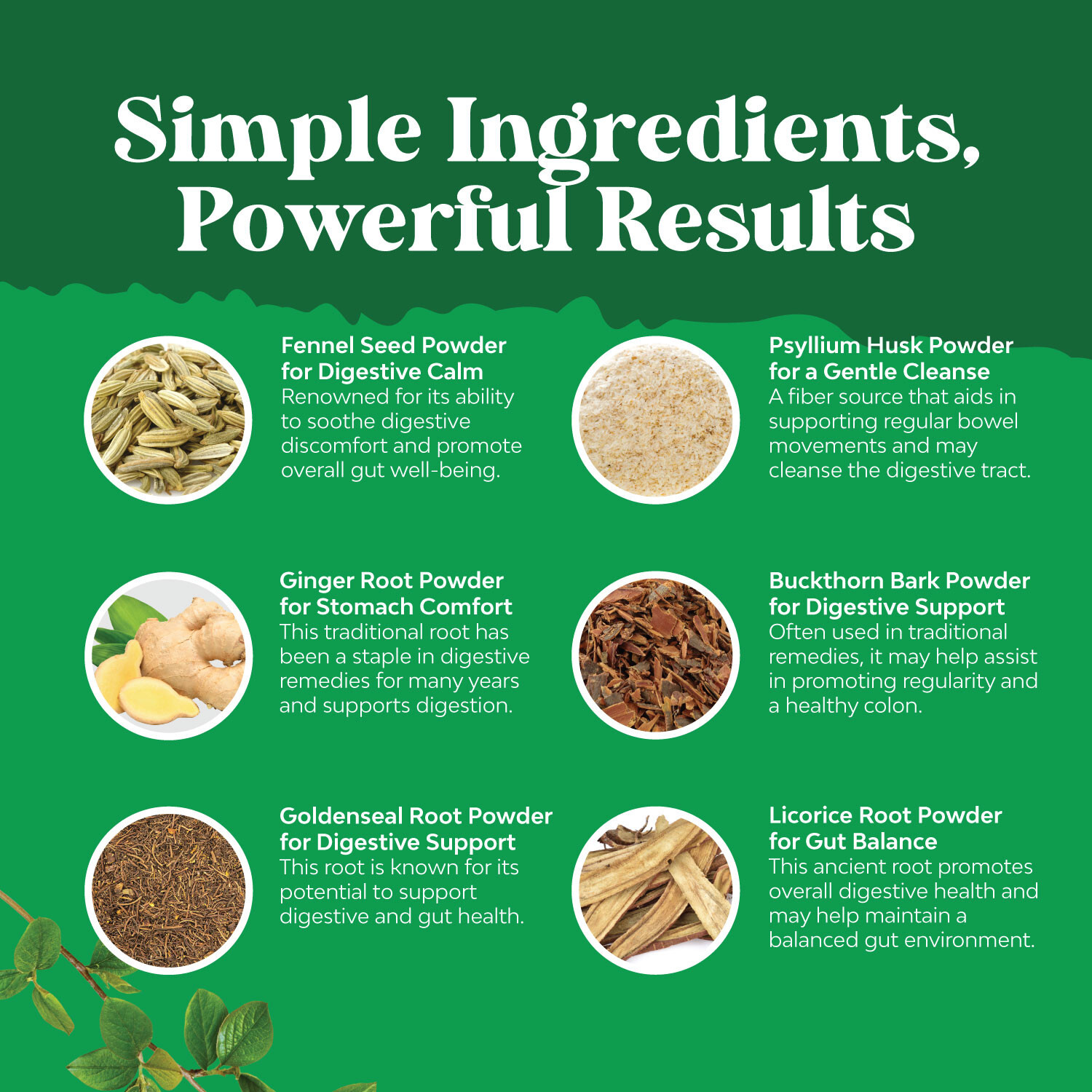 Colon Cleanser & Detox – Lactobacillus Acidophilus Probiotic Supplement