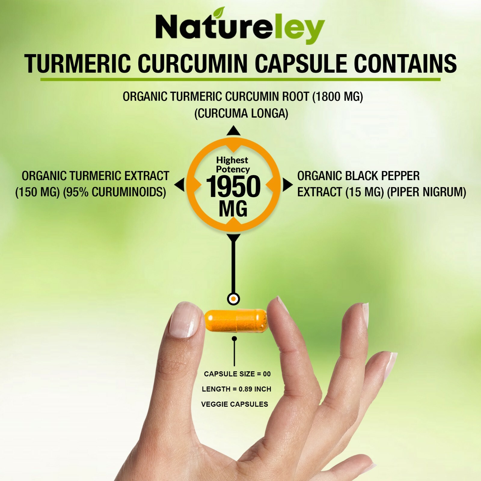 Organic Turmeric Curcumin 1950mg with Black Pepper Extract Supplements -120 Caps