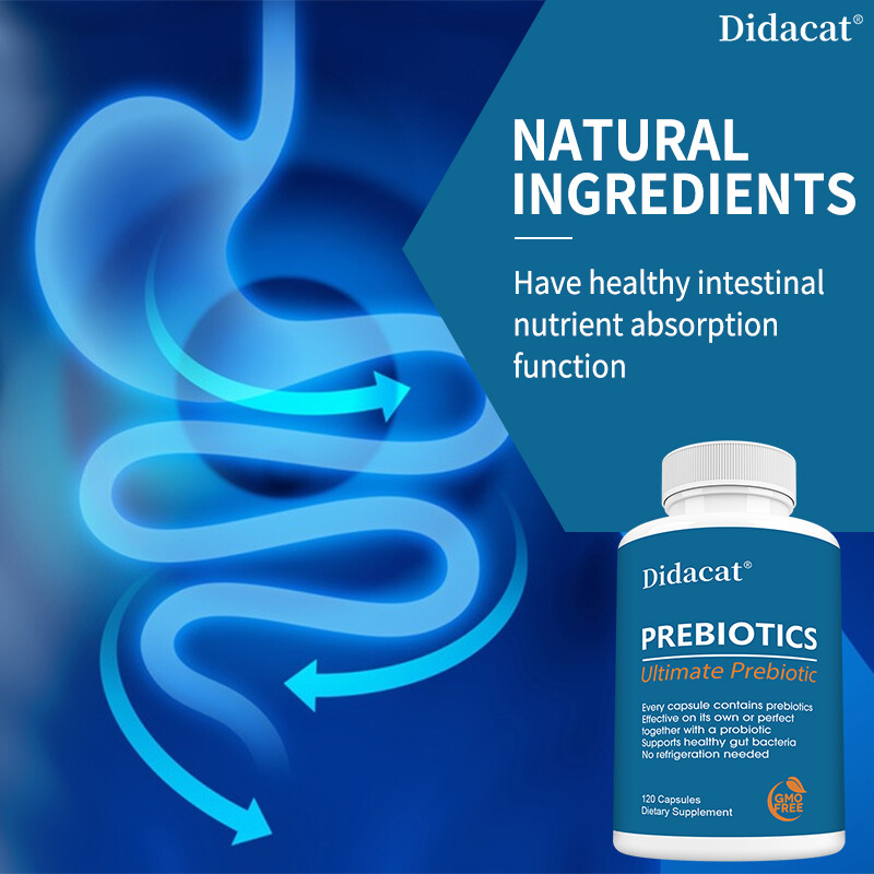 Prebiotic Supplement Protect Intestinal Health & Digestive System Health
