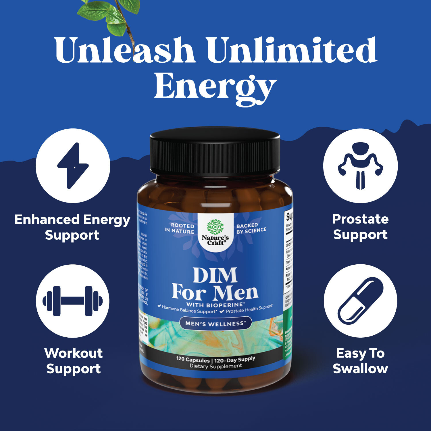 Advanced Diindolylmethane DIM Supplement for Men Estrogen Blocker Panax Ginseng