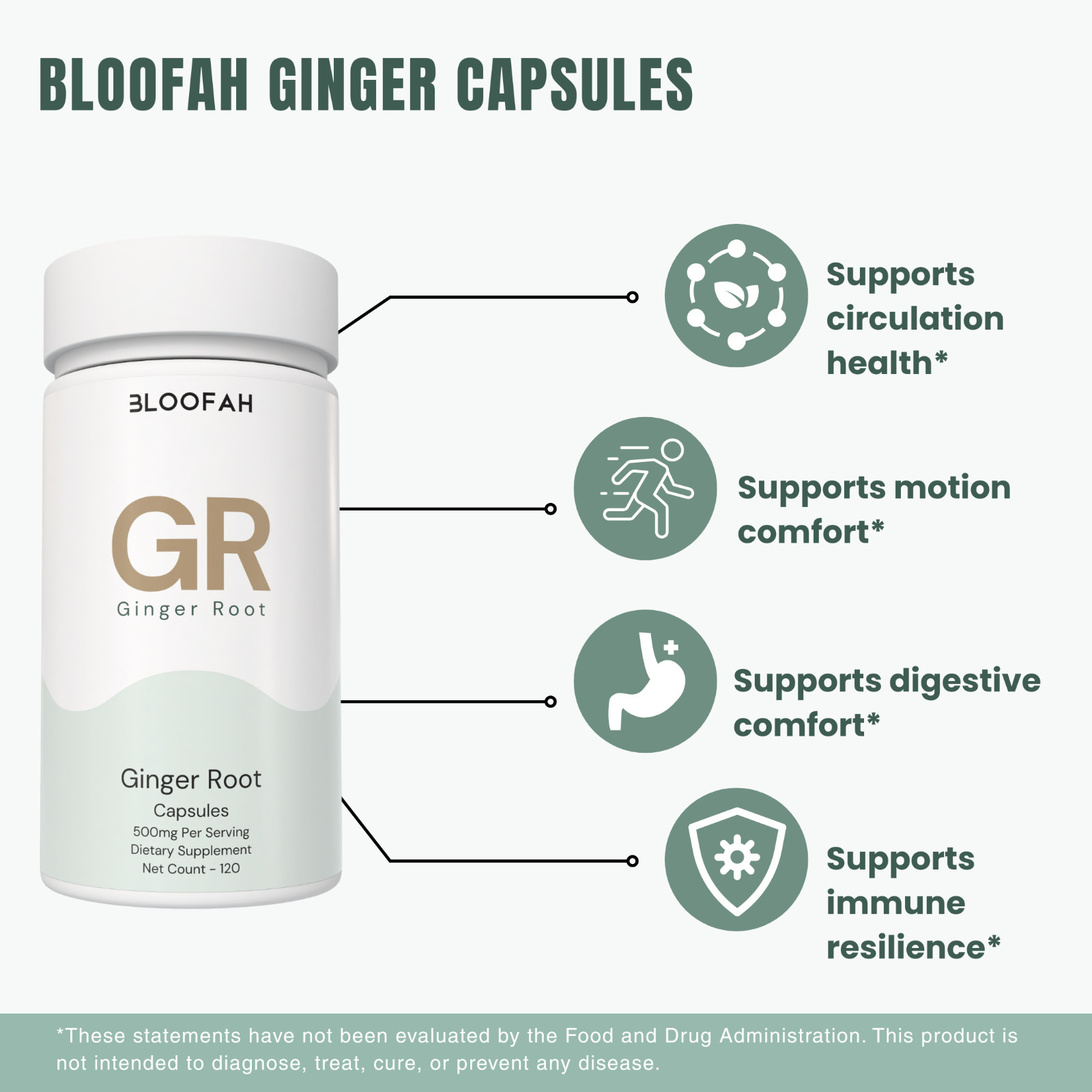 Bloofah GR Ginger Root Extract 10:1 500mg | 120 Capsules | Gingerols | Wellness