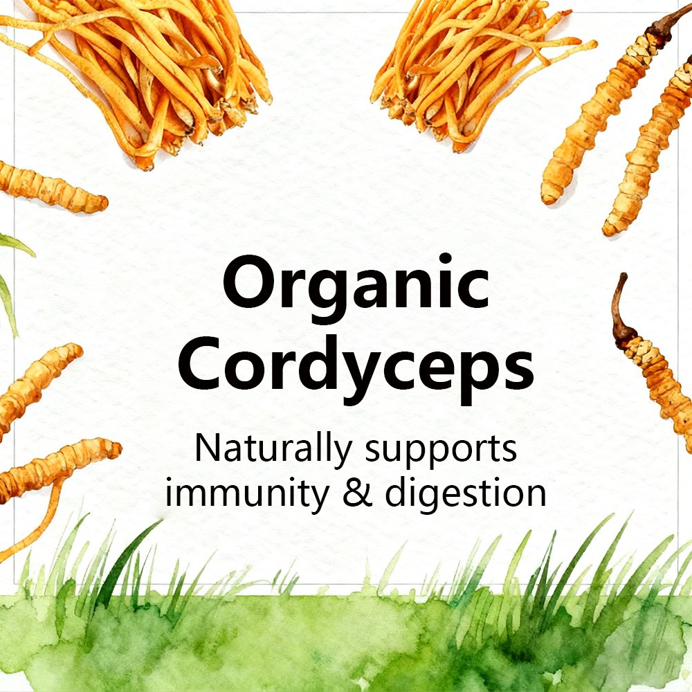 Organic Cordyceps Supplement, Boosts Immunity,Supports Digestive & Gut Health