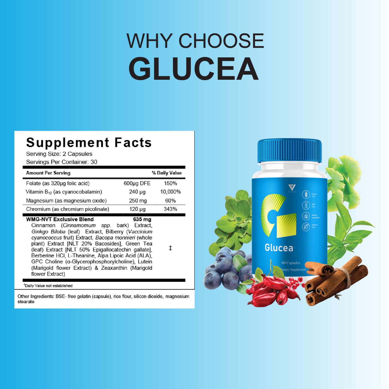 (3 Pack) Glucea Blood Support, Glu Cea Formula (180 Capsules)